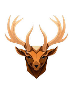 Road Trip - La Truffe Hivernale 21, 22 et 23-02-2025